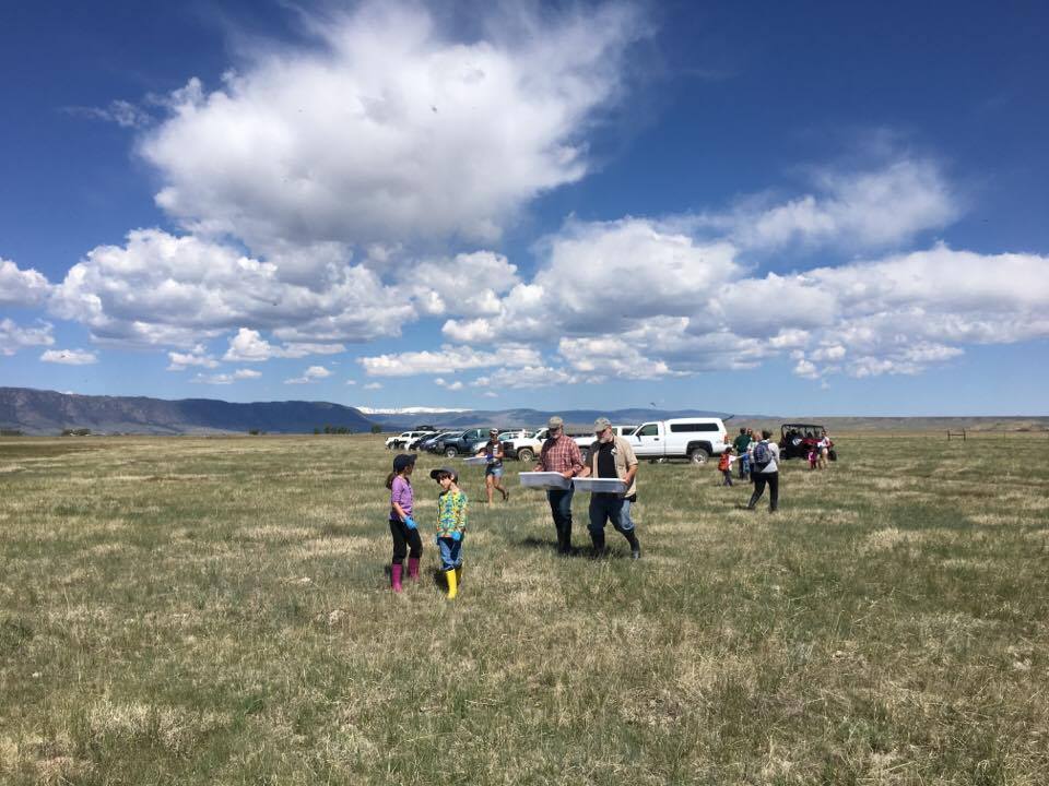 Volunteers getting ready to re-introduce Wyoming Toads back into the wild